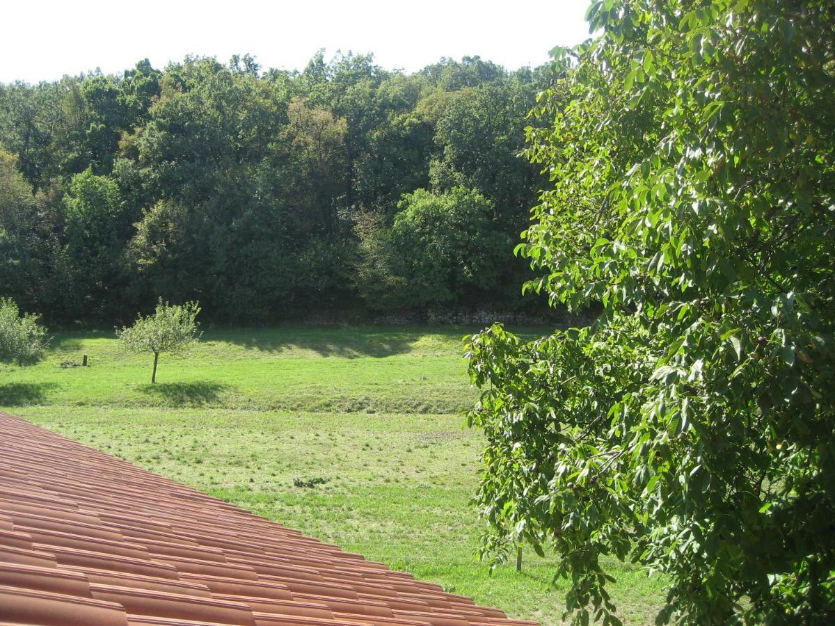 Agriturismo Radovic Aurisina Exterior foto